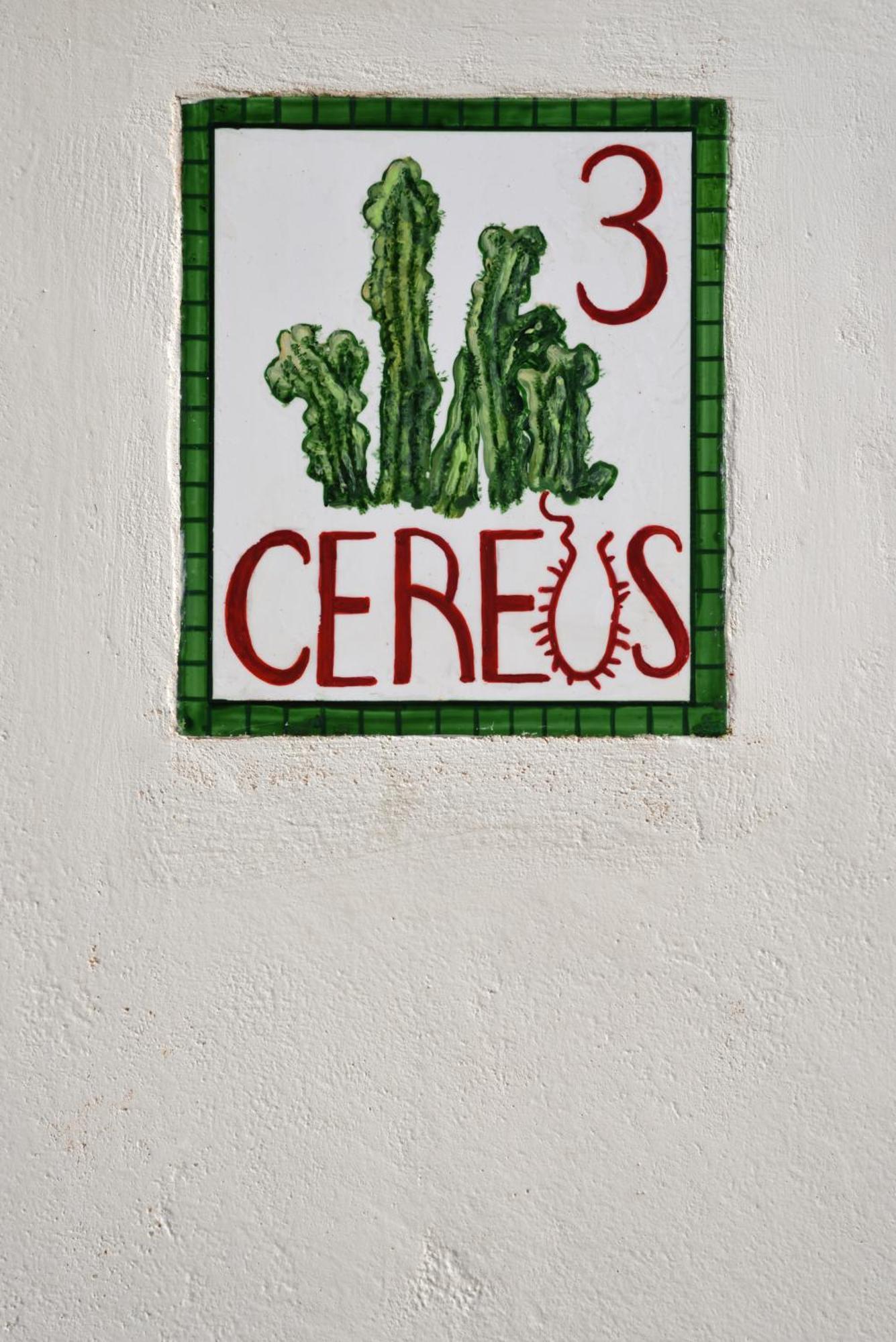Cactus Hydra - Art Apartments Стая снимка